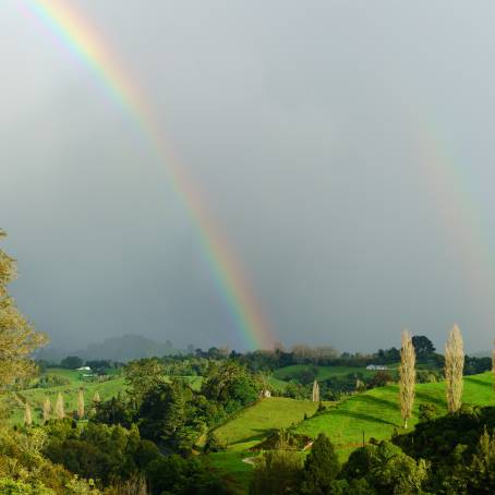 New Zealands Waitomo Countryside Serenity