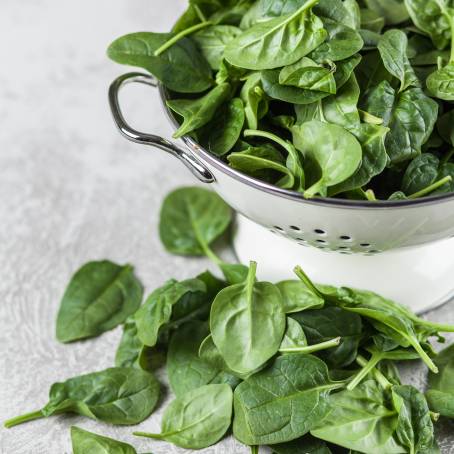 Nutrient Packed Spinach Leaves Close Up