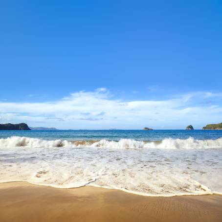 Oceanic Beauty Black Sand and Turquoise Waters