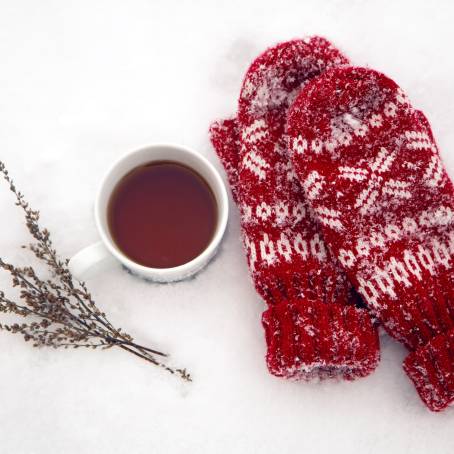 Pair of Red Knitted Mittens with Christmas Pattern Isolated on White Background