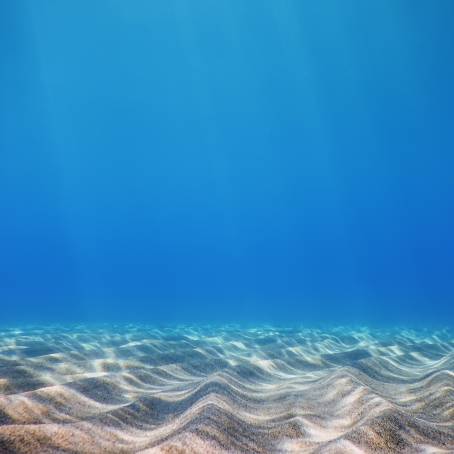 Panoramic View of Blue Ocean and Swimming Pool with Sandy Sea Bottom