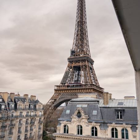 Paris Beauty Eiffel Tower and Majestic Skyline View