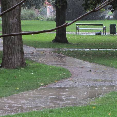 Park Puddles  Wet Benches Heavy Rain  Summer Hailstorm