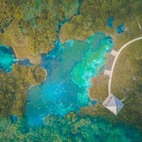 Peaceful Morning at Zelenci Nature Reserve, Slovenia