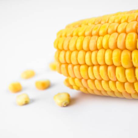 Peeled Corn Ear and Seeds Isolated Top View