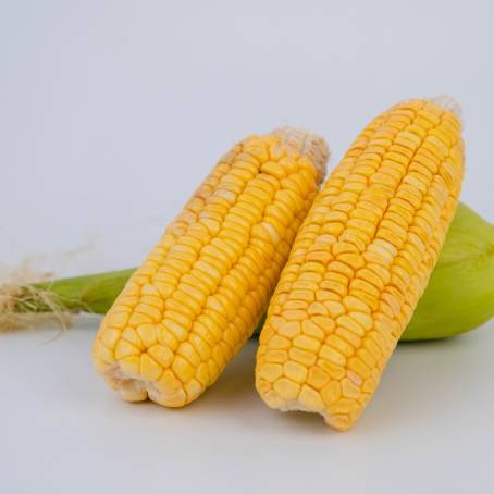 Peeled Corn Ear and Seeds Top View Isolated