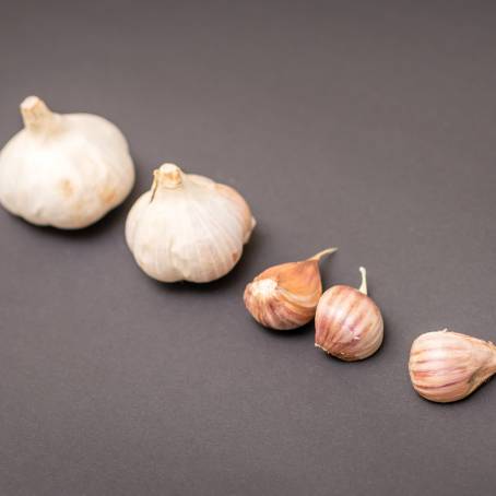 Peeled Garlic and Whole Head on White Background