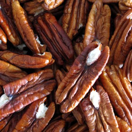 Peeled Pecans Cluster Isolated on White