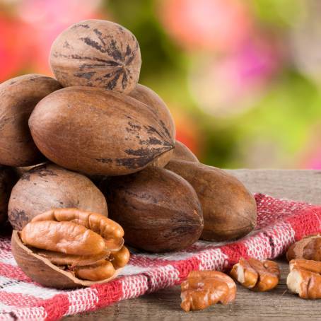 Peeled Pecans on Isolated White Surface