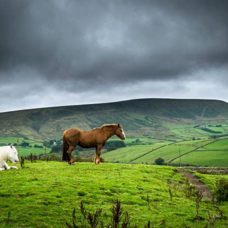 Pendle Hill Views Rolling Hills and Scenic Landscapes of Lancashire