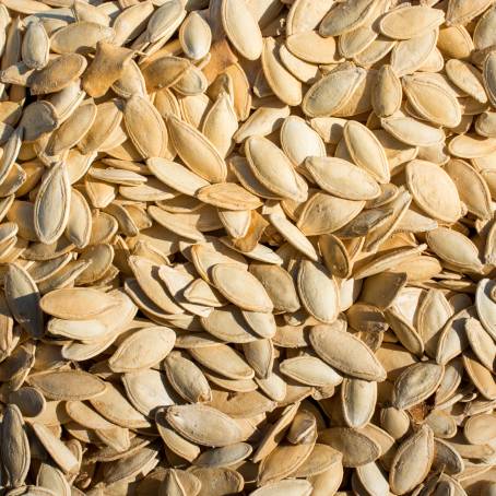 Photograph of Hulled Pumpkin Seeds Isolated on White