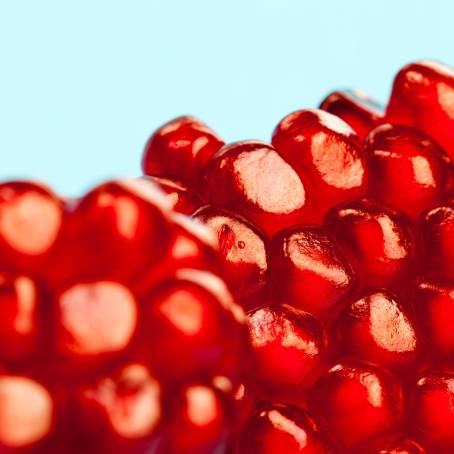 Pomegranate Seeds Collection with Macro Detail Isolated on White True Photo with Full Focus