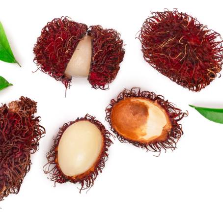 Rambutan Fruit Isolated Against a White Background