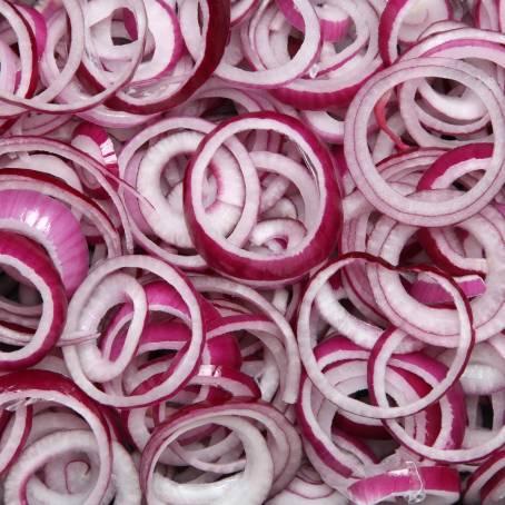 Raw Red Onion Rings Arranged Neatly on a White Ceramic Dish