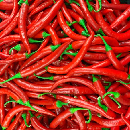 Red Cayenne Pepper Isolated on White Background