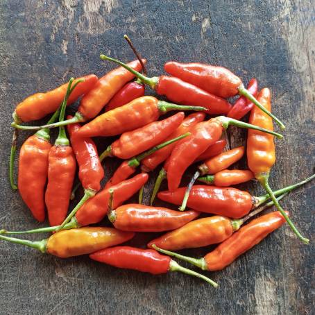 Red Cayenne Pepper Isolated on White Hot and Spicy