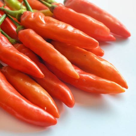 Red Cayenne Pepper on a White Background Isolated Spicy Chili