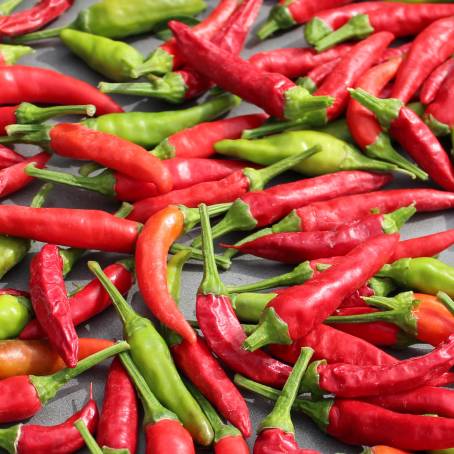 Red Cayenne Pepper Spicy and Isolated on White