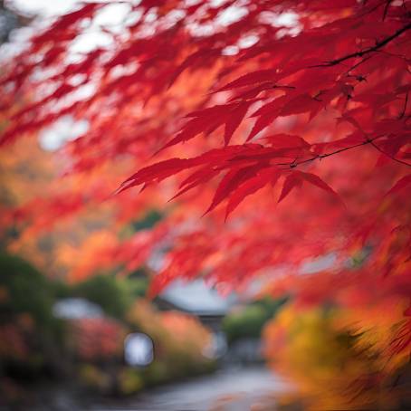 Red momiji leaves on a blurred autumn background in a serene Japanese setting