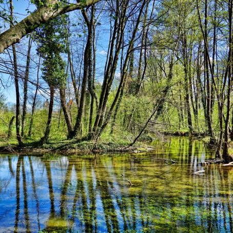 Reflections on Hayeswater Lake