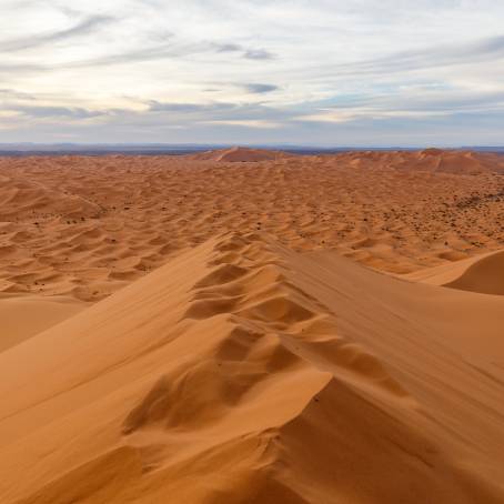 Sahara Dunes Erg Chebbis Stunning Red Sands