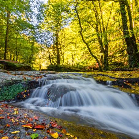 Scenic autumn view of Suuctu Waterfalls Bursa, Turkey