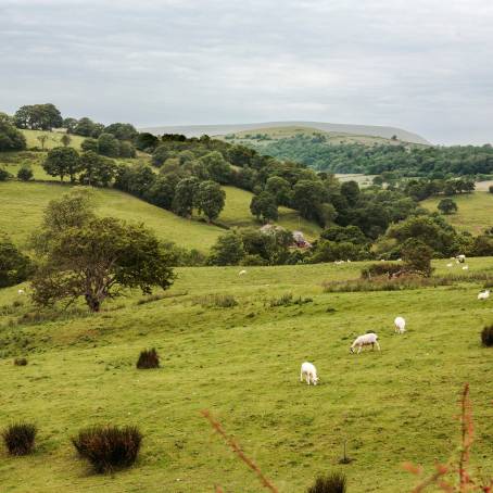 Scenic Pendle Hill A View of Lancashire Natural Wonders