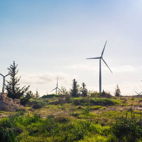 Scenic Wind Turbines and High Voltage Towers