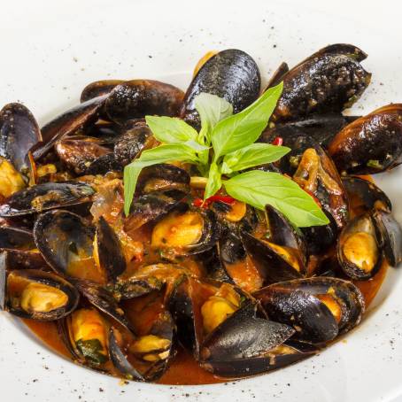 Seafood Mussels Falling on White Isolated Background