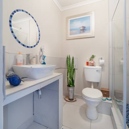 Sleek Grey Wall Paired with Ceramic Toilet in Modern Bathroom