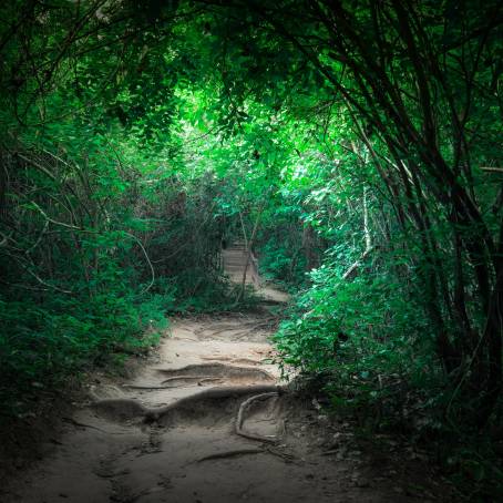 Spring Magic Enchanted Forest Road with Lilac Trees in Bloom and Beautiful Landscape