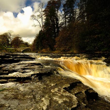 Stainforth Stepping Stones A Serene Crossing Over a Quiet Stream