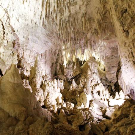 Stalagmites and Stalactites Natures Artwork in Ruakuri Cave