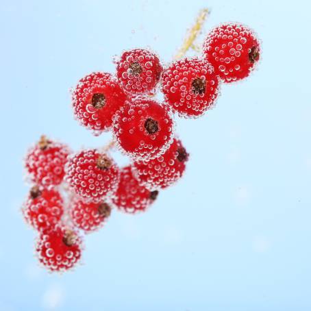 Strawberry in Sparkling Mineral Water with Close Up Bubbles