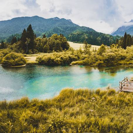 Stunning Morning at Zelenci Nature Reserve in Slovenia