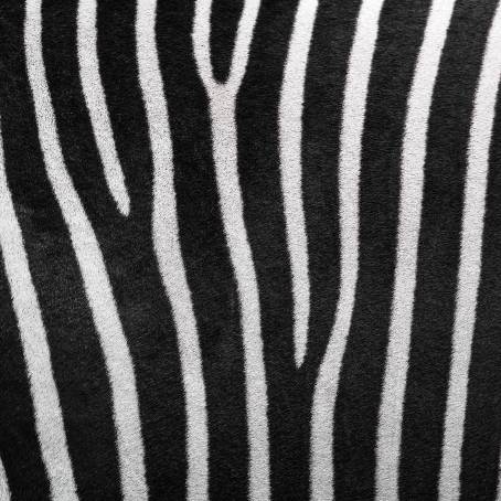 Stylish Zebra Fur Background for Art and Creative Projects