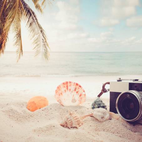 Summer Bliss Exploring the Sea River Beach Natural Beauty