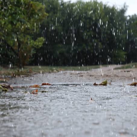 Summer Hailstorm Heavy Rain, Puddles  Wet Benches