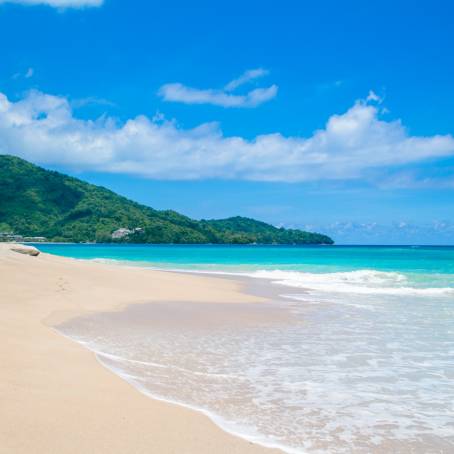 Summer Natural Beauty at the Tranquil Sea River Beach