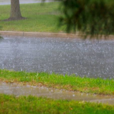 Summer Rainstorm Hail, Puddles  Wet Benches