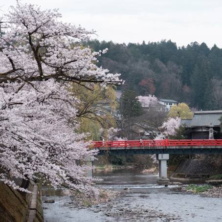 Takayamas Red Nakabashi Bridge Over River Historical Icon