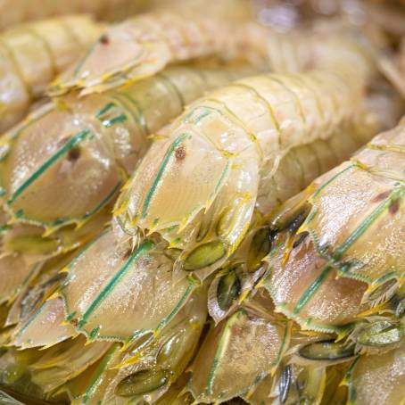 Thai Market Fresh Mantis Shrimp Seafood on Ice Close Up