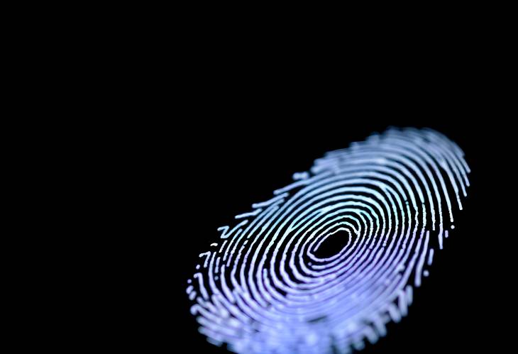 The Art of Fingerprints on a Dark Background