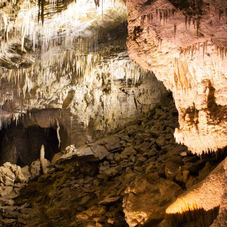 The Enchanting Stalactites of Ruakuri Cave