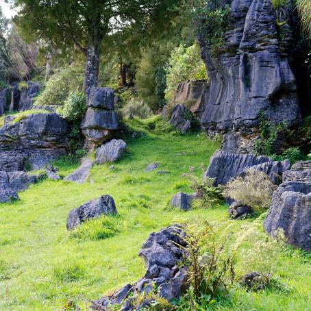 The Tranquil Landscapes of New Zealands Waitomo