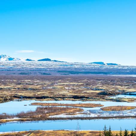 The Tranquility of Thingvellir River