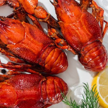 Top Down Culinary View of Grilled Lobster on White Plate