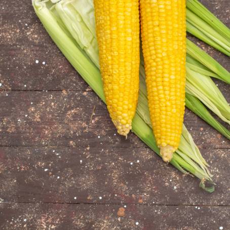 Top Down Isolated Corn Ear and Seeds on White