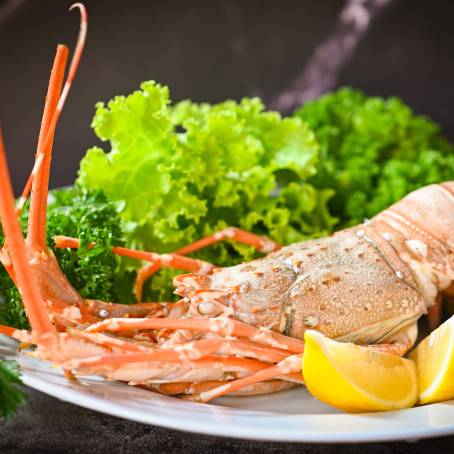 Top Down Perspective of Grilled Lobster on White Background