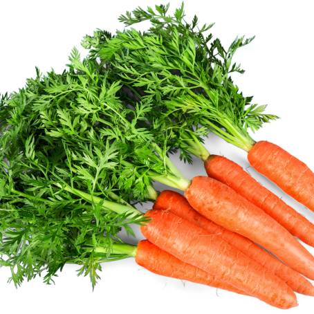 Top View of Fresh Baby Carrots Daucas Carota Isolated on White for Healthy Eating and Cooking